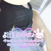 ヒメ日記 2025/01/08 01:36 投稿 まひろ タレント倶楽部アダルト