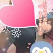 ヒメ日記 2025/01/13 15:20 投稿 まひろ タレント倶楽部アダルト