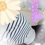 ヒメ日記 2025/02/01 00:02 投稿 まひろ タレント倶楽部アダルト