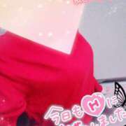 ヒメ日記 2025/02/08 12:12 投稿 まひろ タレント倶楽部アダルト