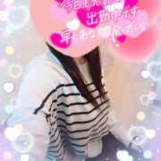 ヒメ日記 2025/03/14 11:08 投稿 まひろ タレント倶楽部アダルト