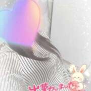 ヒメ日記 2025/04/28 11:08 投稿 まひろ タレント倶楽部アダルト