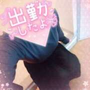 ヒメ日記 2025/04/29 12:02 投稿 まひろ タレント倶楽部アダルト