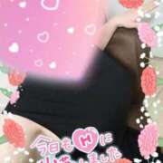 ヒメ日記 2025/05/09 14:08 投稿 まひろ タレント倶楽部アダルト