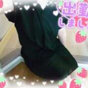 ヒメ日記 2025/07/03 10:10 投稿 まひろ タレント倶楽部アダルト