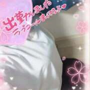 ヒメ日記 2025/07/16 10:10 投稿 まひろ タレント倶楽部アダルト