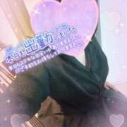 ヒメ日記 2025/07/24 10:12 投稿 まひろ タレント倶楽部アダルト