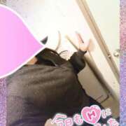 ヒメ日記 2025/07/31 10:34 投稿 まひろ タレント倶楽部アダルト