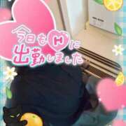 ヒメ日記 2025/08/31 12:14 投稿 まひろ タレント倶楽部アダルト