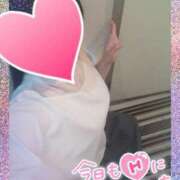 ヒメ日記 2025/09/01 12:06 投稿 まひろ タレント倶楽部アダルト