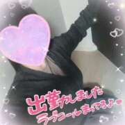 ヒメ日記 2025/09/11 10:08 投稿 まひろ タレント倶楽部アダルト