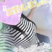 ヒメ日記 2025/09/15 12:20 投稿 まひろ タレント倶楽部アダルト