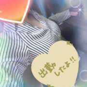 ヒメ日記 2025/10/12 18:10 投稿 まひろ タレント倶楽部アダルト