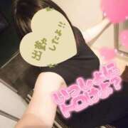 ヒメ日記 2025/10/18 12:08 投稿 まひろ タレント倶楽部アダルト