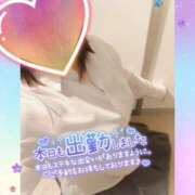 ヒメ日記 2025/11/08 12:12 投稿 まひろ タレント倶楽部アダルト