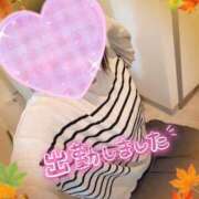 ヒメ日記 2025/11/16 12:12 投稿 まひろ タレント倶楽部アダルト