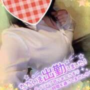 ヒメ日記 2026/01/31 12:12 投稿 まひろ タレント倶楽部アダルト