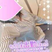 ヒメ日記 2026/03/02 11:08 投稿 まひろ タレント倶楽部アダルト