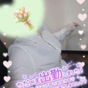 ヒメ日記 2026/04/02 18:10 投稿 まひろ タレント倶楽部アダルト