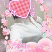ヒメ日記 2026/05/16 12:12 投稿 まひろ タレント倶楽部アダルト