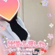 ヒメ日記 2026/06/03 12:12 投稿 まひろ タレント倶楽部アダルト
