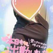 ヒメ日記 2026/06/17 12:12 投稿 まひろ タレント倶楽部アダルト