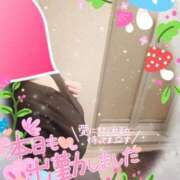 ヒメ日記 2026/08/19 12:14 投稿 まひろ タレント倶楽部アダルト