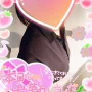 ヒメ日記 2026/10/03 12:18 投稿 まひろ タレント倶楽部アダルト