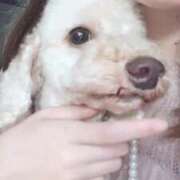 ヒメ日記 2025/01/15 06:32 投稿 兎歌えむ 蒲田ウルトラギャラクシー