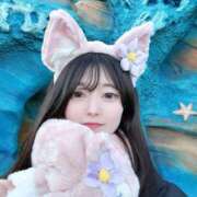 ヒメ日記 2025/03/14 07:02 投稿 兎歌えむ 蒲田ウルトラギャラクシー