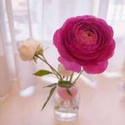 ヒメ日記 2025/03/18 17:01 投稿 兎歌えむ 蒲田ウルトラギャラクシー