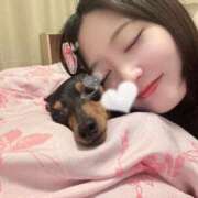 ヒメ日記 2025/09/27 06:22 投稿 兎歌えむ 蒲田ウルトラギャラクシー