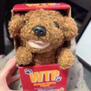 ヒメ日記 2025/12/06 23:32 投稿 兎歌えむ 蒲田ウルトラギャラクシー