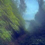 るりん 11月4日出勤です！ 花影（かえい）