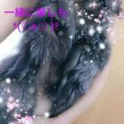 ヒメ日記 2024/12/12 09:18 投稿 ゆう 京都ホテヘル倶楽部