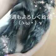 ヒメ日記 2025/01/14 08:30 投稿 ゆう 京都ホテヘル倶楽部