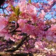 ヒメ日記 2025/03/18 11:01 投稿 ゆう 京都ホテヘル倶楽部