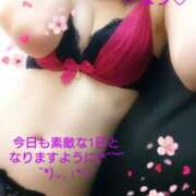 ヒメ日記 2025/03/25 08:38 投稿 ゆう 京都ホテヘル倶楽部