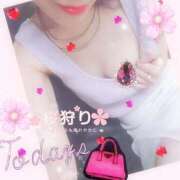 ヒメ日記 2025/04/01 08:45 投稿 ゆう 京都ホテヘル倶楽部