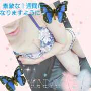 ヒメ日記 2025/04/07 08:00 投稿 ゆう 京都ホテヘル倶楽部