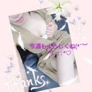 ヒメ日記 2025/04/14 08:00 投稿 ゆう 京都ホテヘル倶楽部