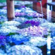 ヒメ日記 2025/06/09 14:32 投稿 ゆう 京都ホテヘル倶楽部