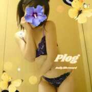 ヒメ日記 2025/08/29 08:41 投稿 ゆう 京都ホテヘル倶楽部