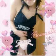 ヒメ日記 2025/08/29 09:30 投稿 ゆう 京都ホテヘル倶楽部