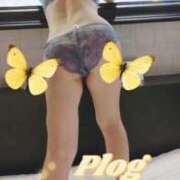 ヒメ日記 2025/08/29 14:24 投稿 ゆう 京都ホテヘル倶楽部