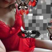 ヒメ日記 2025/11/17 12:31 投稿 ゆう 京都ホテヘル倶楽部