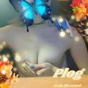 ヒメ日記 2025/11/19 10:04 投稿 ゆう 京都ホテヘル倶楽部