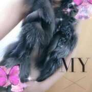 ヒメ日記 2025/12/23 10:09 投稿 ゆう 京都ホテヘル倶楽部