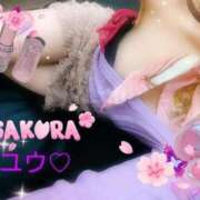 ヒメ日記 2026/03/27 08:58 投稿 ゆう 京都ホテヘル倶楽部