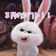 ヒメ日記 2025/03/01 13:03 投稿 えな 鶯谷デリヘル倶楽部